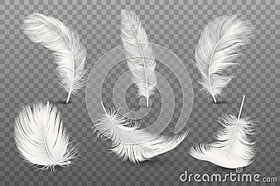 Vector 3d Realistic Different Falling White Fluffy Twirled Feather Set Closeup Isolated on Transparency Grid Background Vector Illustration