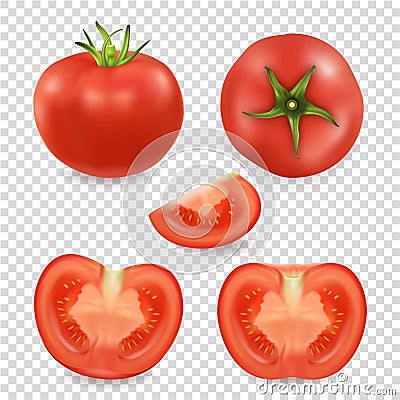 Vector 3d realistic different tomato icon set closeup isolated on transparency grid background. Whole, quarter, half of Vector Illustration