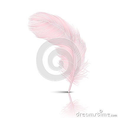 Vector 3d Realistic Falling Pink Flamingo Fluffy Twirled Feather with Reflection Closeup Isolated on White Background Vector Illustration