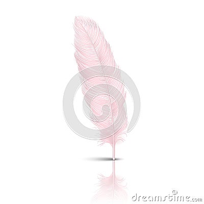 Vector 3d Realistic Falling Pink Flamingo Fluffy Twirled Feather with Reflection Closeup Isolated on White Background Vector Illustration