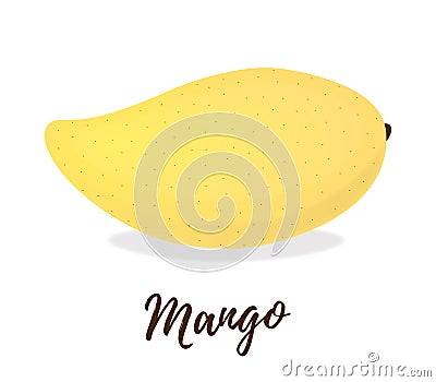 Vector 3d realistic tropical fruit - mango. Exotic, ripe nutrition Vector Illustration
