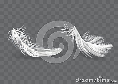 Vector 3d Realistic Various Falling White Fluffy Twisted Feather Set Close Up Isolated On Background Stock Photo