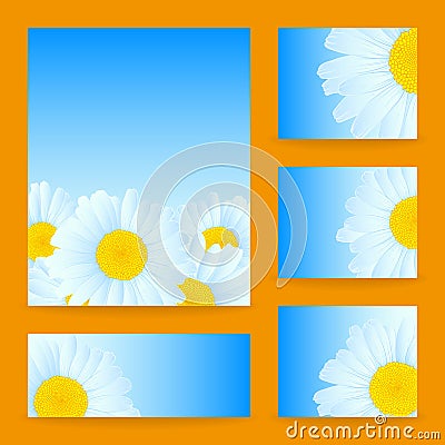Vector daisies design. Vector Illustration