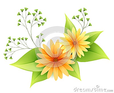 Vector daisy flowers with foliage Vector Illustration