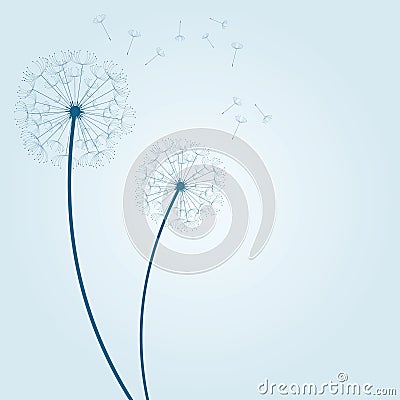 Vector dandelion background Vector Illustration