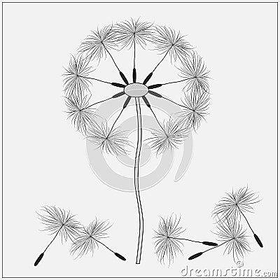 Vector dandelion, black on grey background Vector Illustration