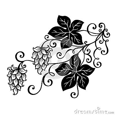 Vector Decorative Bush Hop. Vector Illustration