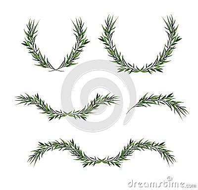 Vector decorative element set. Eucalyptus round Green leaf Wreath, greenery branches, winter garland, border, frame, elegant Vector Illustration