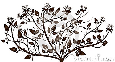 Decorative rose plant silhouette white background Vector Illustration