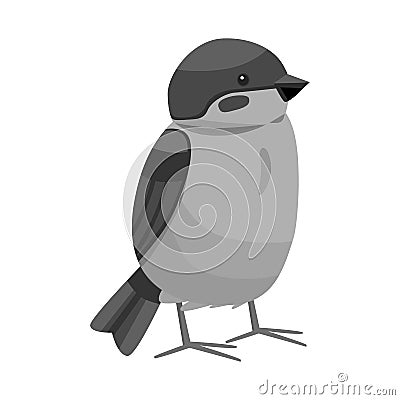 Vector design of bird and redstart sign. Collection of bird and decorative vector icon for stock. Vector Illustration