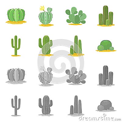 Vector design of botanical and oasis logo. Set of botanical and vegetative vector icon for stock. Vector Illustration