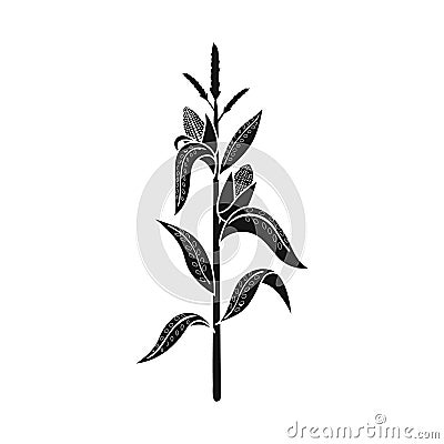 Vector design of corn and stalk logo. Set of corn and field vector icon for stock. Vector Illustration