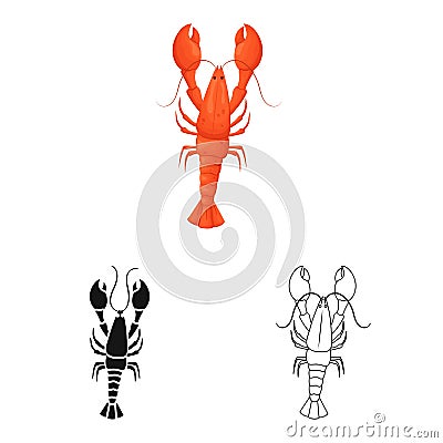 Isolated object of crayfish and lobster symbol. Set of crayfish and boiled stock vector illustration. Vector Illustration