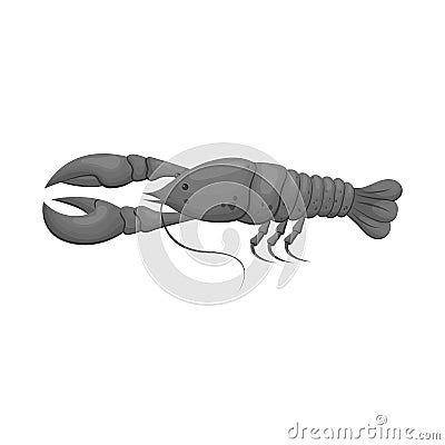 Isolated object of crayfish and lobster icon. Set of crayfish and boiled stock vector illustration. Vector Illustration