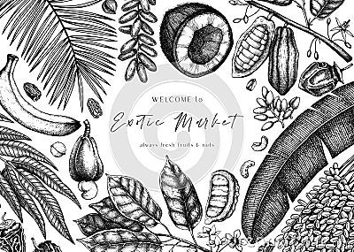 Vector design with hand drawn exotic fruits and nuts. Vintage frame with dates, banana, cocoa, coconut, cashew leaves, fruits and Vector Illustration