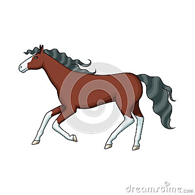 Vector design of steed and brown symbol. Collection of steed and gallop vector icon for stock. Vector Illustration
