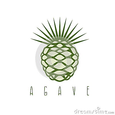 Vector design template of the agave Vector Illustration