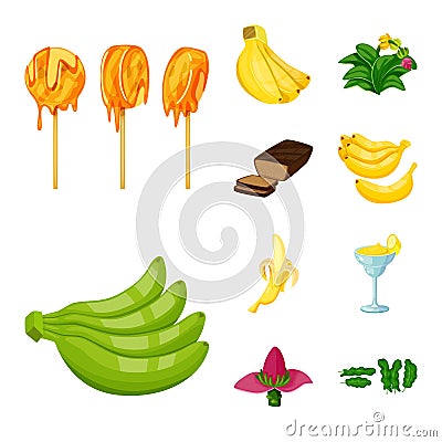 Isolated object of tropical and ripe logo. Set of tropical and potassium vector icon for stock. Vector Illustration