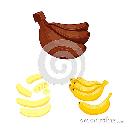 Isolated object of tropical and ripe symbol. Set of tropical and potassium vector icon for stock. Vector Illustration