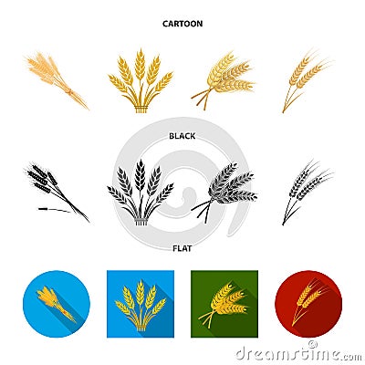 Isolated object of wheat and stalk logo. Collection of wheat and grain stock vector illustration. Vector Illustration