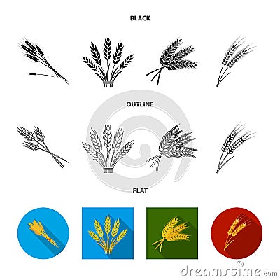 Isolated object of wheat and stalk sign. Set of wheat and grain stock vector illustration. Vector Illustration