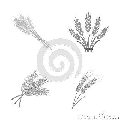 Vector design of wheat and stalk symbol. Set of wheat and grain vector icon for stock. Vector Illustration