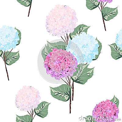 Vector detailed seamless pattern of hydrangea flowers on white background. Stock Photo