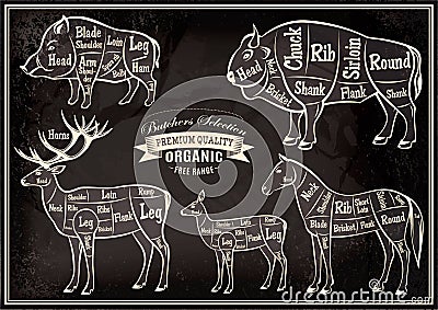 Vector diagram cut carcasses boar, bison, deer, horse Vector Illustration