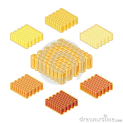 Vector different shades or sorts of honey into honeycombs in isometric style Vector Illustration