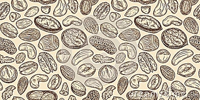 Vector different types of nuts seamless pattern Vector Illustration