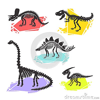 Vector dinosaur skeleton set diplodocus, triceratops, t-rex, stegosaurus, parasaurolophus. Vector Illustration