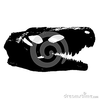 Vector dinosaur skeleton skull on white background, paleontological Vector Illustration