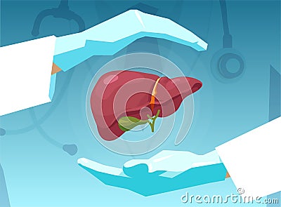 Vector of a doctor protecting human liver with his hands Stock Photo