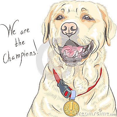 Vector dog breed Labrador Retriever champion Vector Illustration