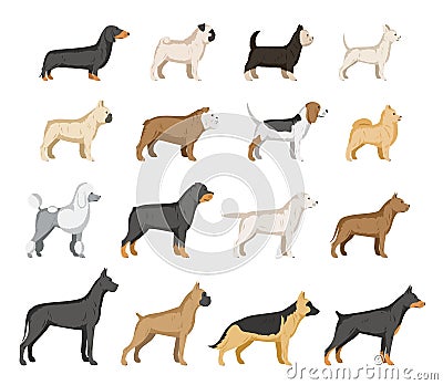 Vector dog breeds collection isolated on white Vector Illustration