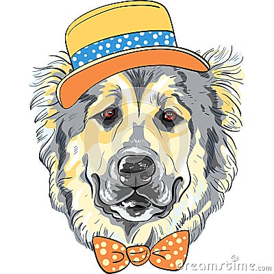 Vector dog Caucasian Shepherd Dog breed in hat and bow tie Vector Illustration