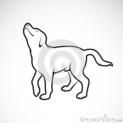 Vector of a dog labrador on white background. Pet. Animals. Vector Illustration