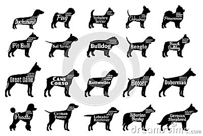 Vector dog silhouettes collection on white. Dogs breeds Vector Illustration