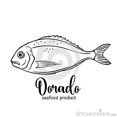 Vector dorado fish. Vector Illustration