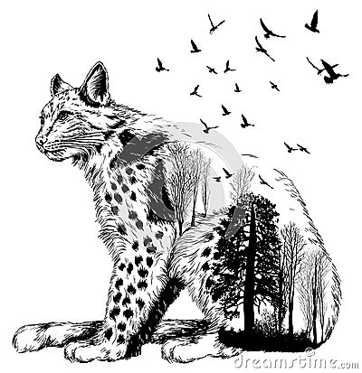 Vector Double exposure, lynx, wildlife concept Stock Photo