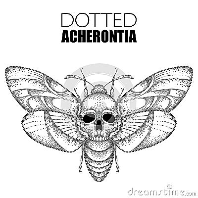 Vector drawing of dotted black Death`s head hawk moth or Acherontia atropos isolated on white background. Vector Illustration