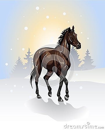 Vector drawing of a horse in winter Stock Photo