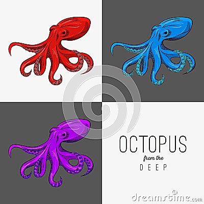 Vector drawing illustration of octopus with curling tentacles. outline, three colors. Poster template, logo, poster, menu Vector Illustration