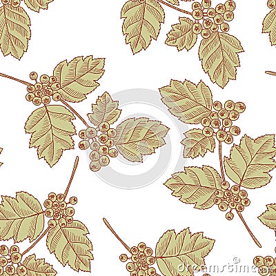 vector drawing seamless pattern with branch of hawthorn tree with leaves and berries Vector Illustration