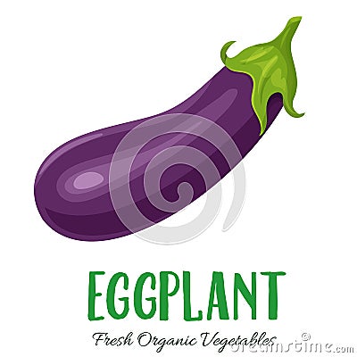 Vector eggplant vegetable Vector Illustration
