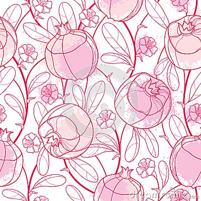 Vector elegance seamless pattern with outline Pomegranate fruit, ornate leaf, flower and blots in pastel pink on the white. Vector Illustration