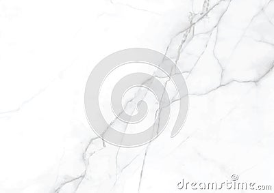 Vector elegance white marble gray textured surface paper background Vector Illustration