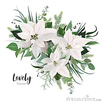 Vector elegant white Poinsettia flower, Christmas tree branches, eucalyptus greenery, green forest leaves floral bouquet. Elegant Vector Illustration