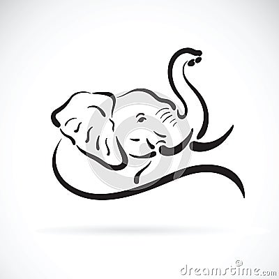 Vector of elephant head Stock Photo