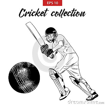 Vector engraved style illustration for logo, emblem, label or poster. Hand drawn sketch set of cricket elements Vector Illustration